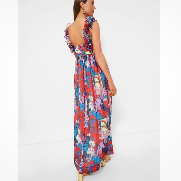 Tuckernuck’s Climbing Cosmos dress NWT - Picture 2 of 3